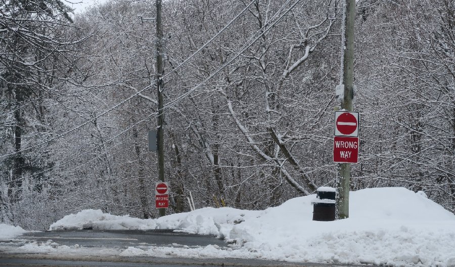 Photograph by Karen Lahey